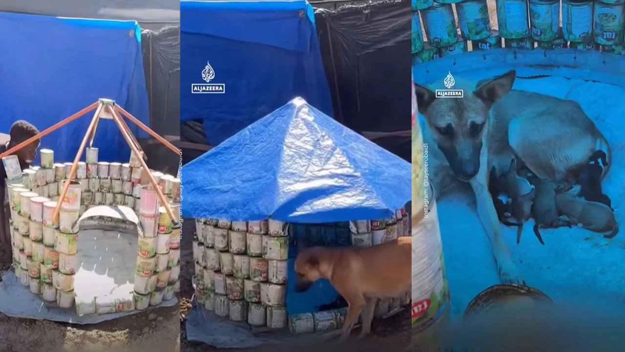 গাজায় যুদ্ধের ধ্বংসস্তূপে টিনের কৌটায় প্রাণ পেল মানবিকতার গল্প