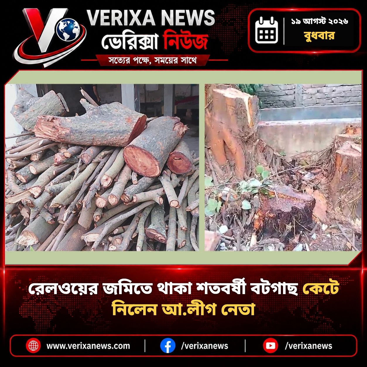 রেলওয়ের জমিতে থাকা শতবর্ষী বটগাছ কেটে নিলেন আ.লীগ নেতা — 1