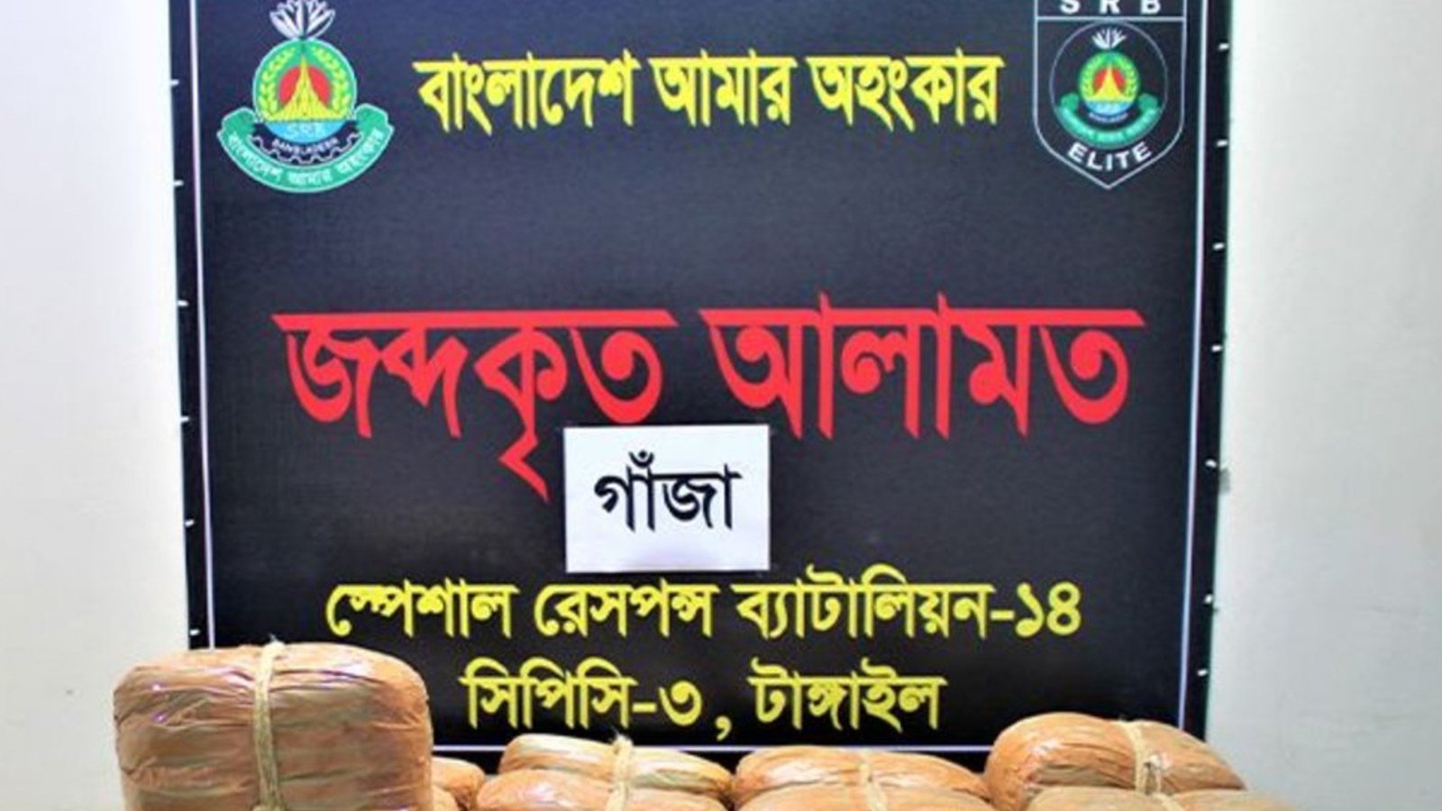 সখিপুরে কাভার্ডভ্যানে ১০০ কেজি গাঁজা, মোটরসাইকেলসহ গ্রেফতার ৩