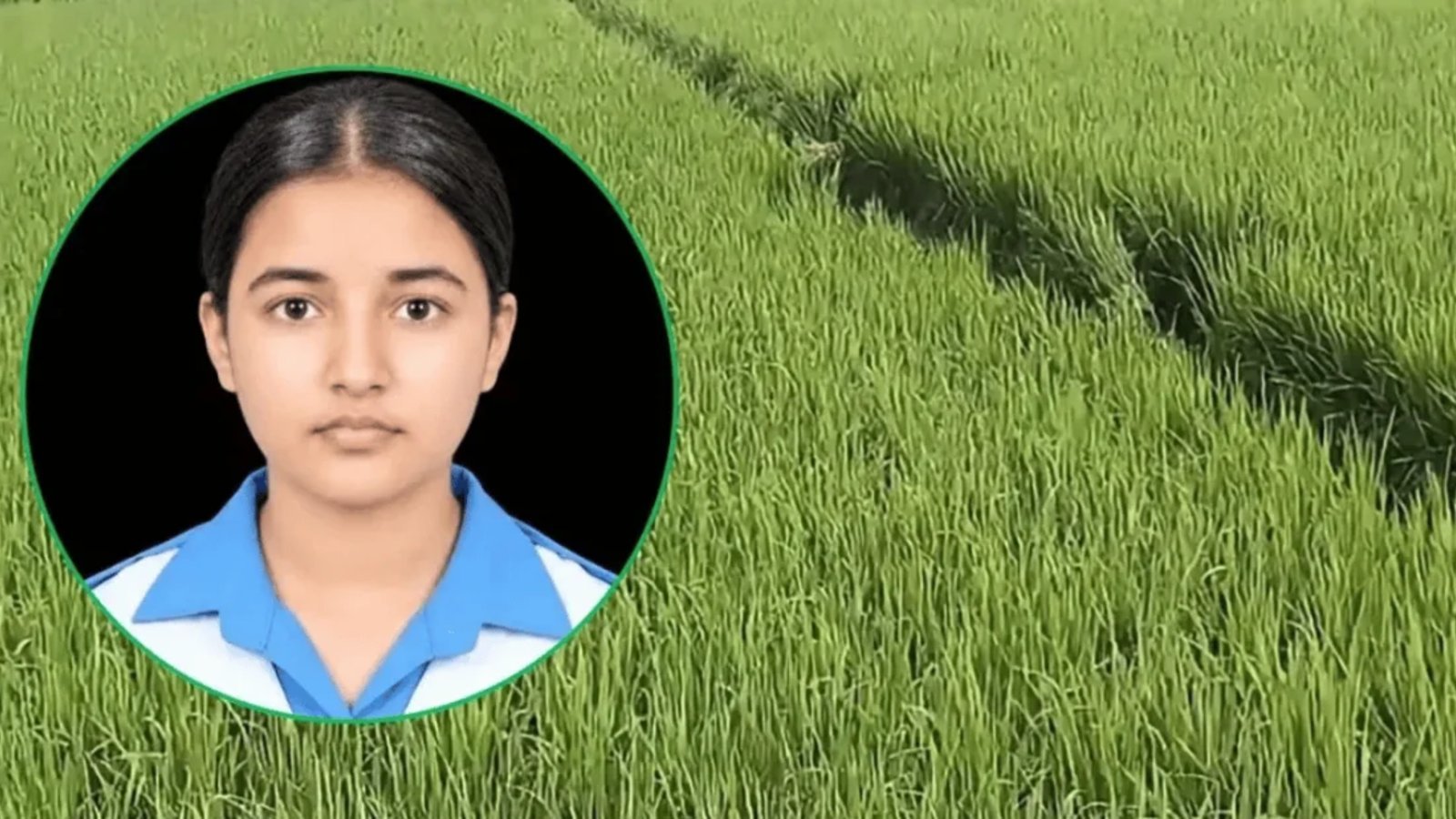 ধানক্ষেতে ছড়িয়ে ছিল পালানোর চিহ্ন, শেষ পর্যন্ত বাঁচতে পারল না তাজমিন